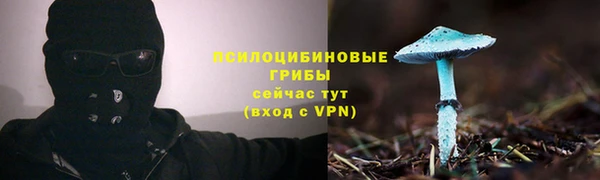 ешки Козельск