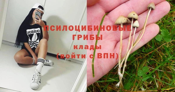 амф Киренск