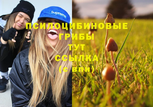 амф Киренск